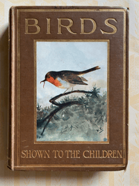 Image 1 of Birds Shown to the Children
