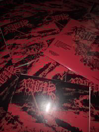 Image 2 of Concerto NERTHUS DIVISION + "White Frost" Exclusive 7" 