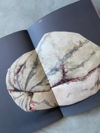 Image 7 of Solomiya No. 5