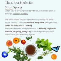 Image 3 of Grow Your Own Mini-Tea Garden-Digital Guide