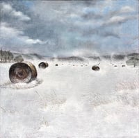 Image 1 of Snow-Blasted Field