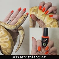 Image 3 of Click Click Boom