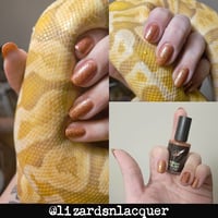 Image 3 of Paralyzer