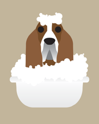 Image 2 of Bassett Hound Collection