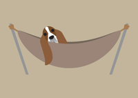 Image 4 of Bassett Hound Collection