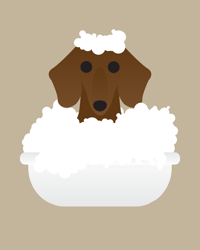 Image 3 of Bath Time Dachshund Collection