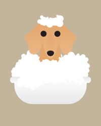 Image 4 of Bath Time Dachshund Collection