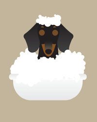 Image 1 of Bath Time Dachshund Collection