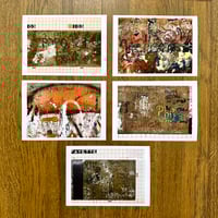 Image 2 of Last Survivors by Greg Lamarche Exclusive Print Bundle