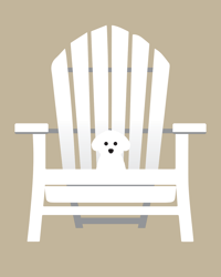 Image 5 of Bichon Collection