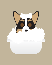 Image 5 of Tri Color Corgi Collection