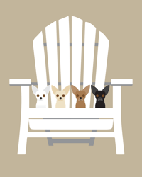 Image 6 of Chihuahua Collection