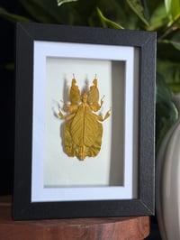 YELLOW LEAF BUG FRAME - 5X7