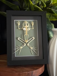 FROG SKELETON FRAME - 5X7