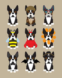 Image 5 of Boston Terrier Collection