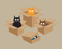 Image 3 of Mulit Cat Collection