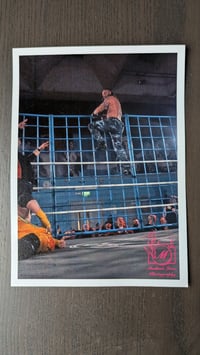 Climbing the Cage 8x6 print