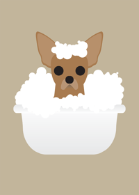 Image 8 of Chihuahua Collection