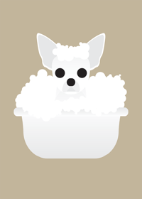 Image 11 of Chihuahua Collection