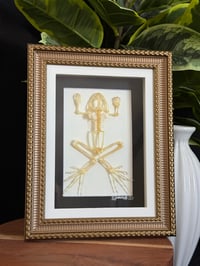 FROG SKELETON FRAME - GOLD 
