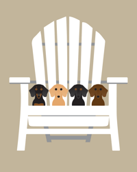 Image 6 of Dachshund Collection