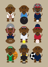 Image 10 of Dachshund Collection