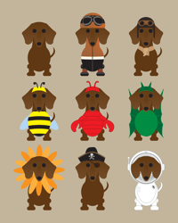 Image 14 of Dachshund Collection