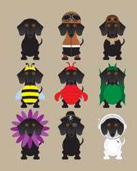 Image 13 of Dachshund Collection