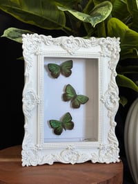 GREEN METALLIC BUTTERFLY TRIO