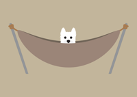 Image 4 of Westie Collection