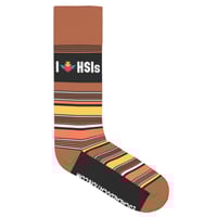 Image 1 of I ❤ HSIs Socks