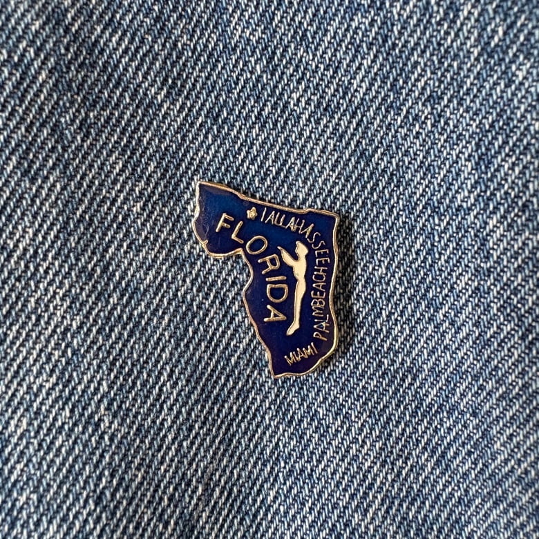 Image of Florida Pin