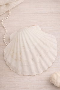 Image 2 of Shell trinket dish hummingbird & flowers desgn