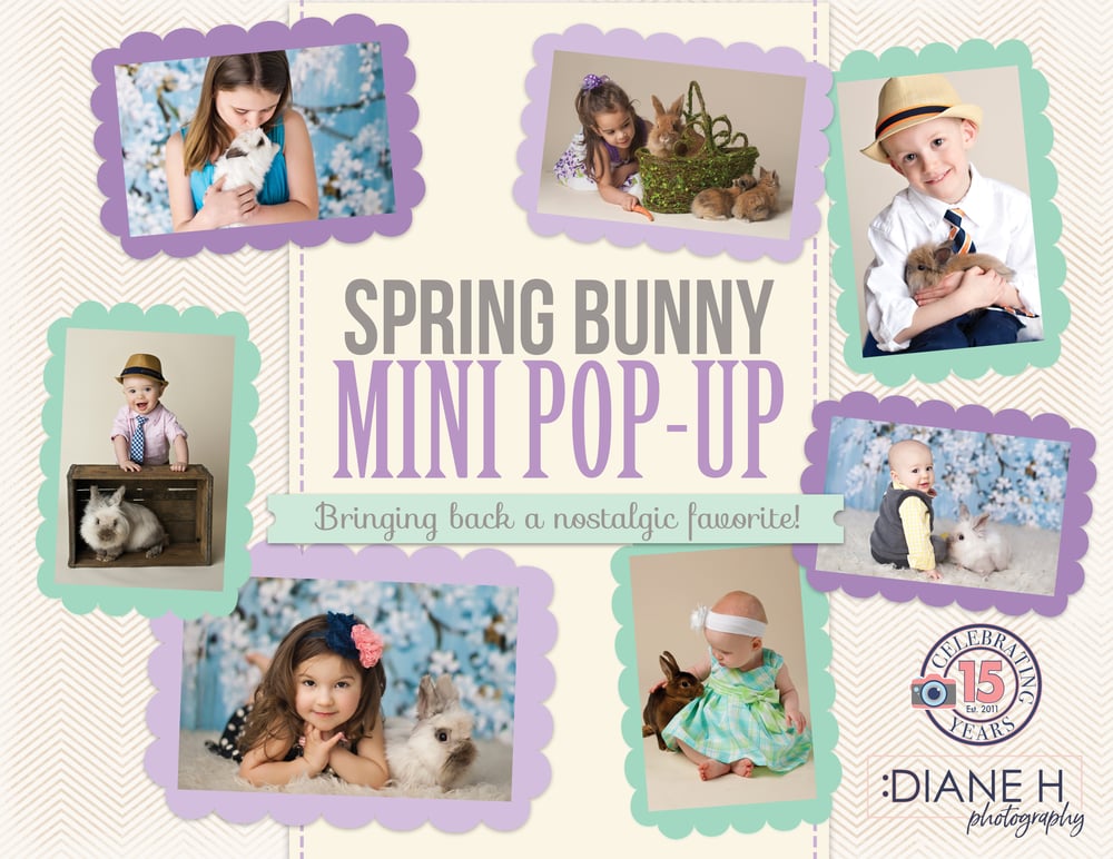 Image of 2026 SPRING BUNNY MINI POP-UP