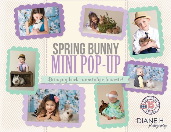 Image of 2026 SPRING BUNNY MINI POP-UP