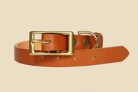 Leather Dog Collar 