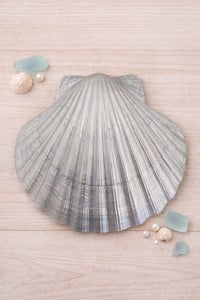 Image 3 of Shell trinket dish sealife design 