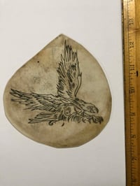 Mike Malone hand cut Eagle acetate