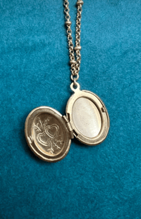Image 3 of Meow Mix Lockets