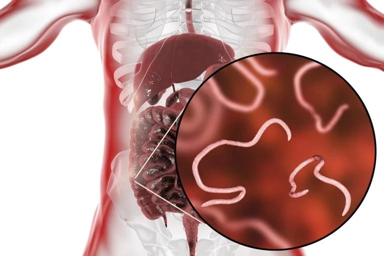 SNACKS. Sea Almonds. PeaNOTS! Protein Energy Bars. Crackers. Melon/Squash Seeds.  