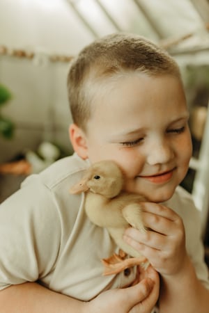 Image of Easter/Spring Minis