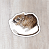 Kangaroo Rat Sticker