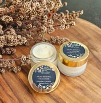 Image 2 of Cucumber and Kakadu Plum Night Renewal Face Cream | Natural Skincare | Night Renewal Creme 