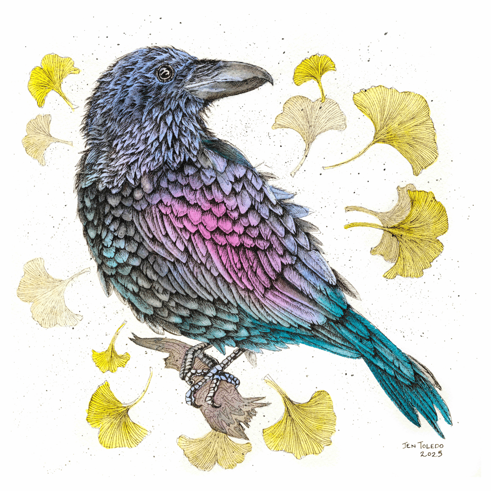 Image of Raven & Ginkgo Leaves