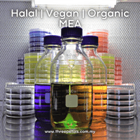 Image 6 of Scaly Bracket (Earliella Scabrosa) Live Mycelium Mushroom Culture Spawn Seed