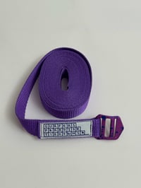 4m Purple Tie Down