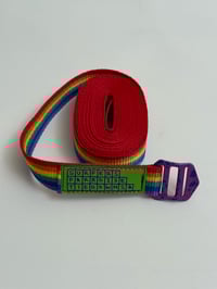 4m Rainbow Tie Down