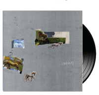 FAZED ON A PONY - Swan