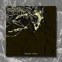 URSUT - Dårarnas Paradis, 12"