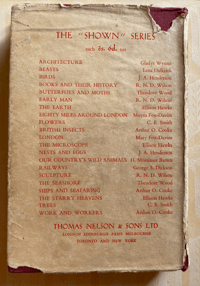 Image 6 of The Seashore The Shown Series (A)